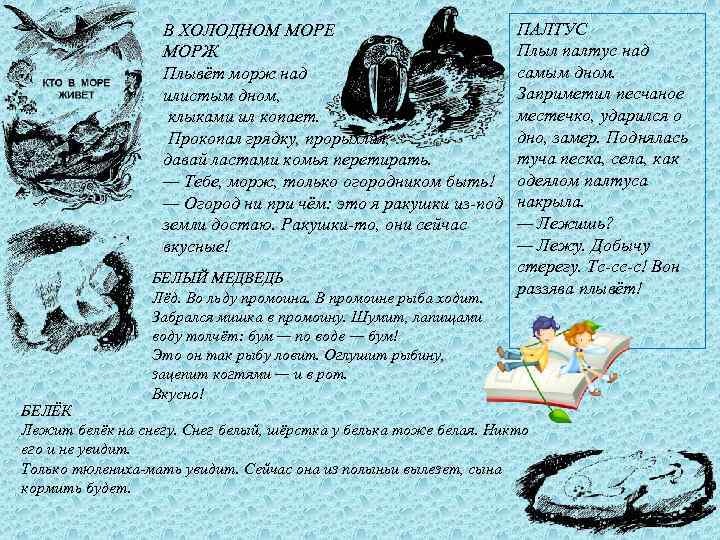 В ХОЛОДНОМ МОРЕ МОРЖ Плывёт морж над илистым дном, клыками ил копает. Прокопал грядку,