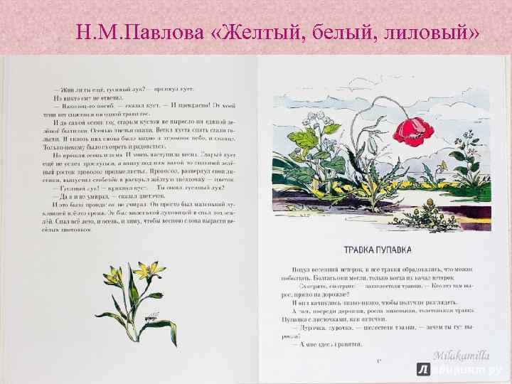 Н. М. Павлова «Желтый, белый, лиловый» 