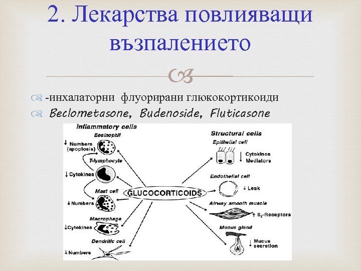 2. Лекарства повлияващи възпалението -инхалаторни флуорирани глюкокортикоиди Beclometasone, Budenoside, Fluticasone 