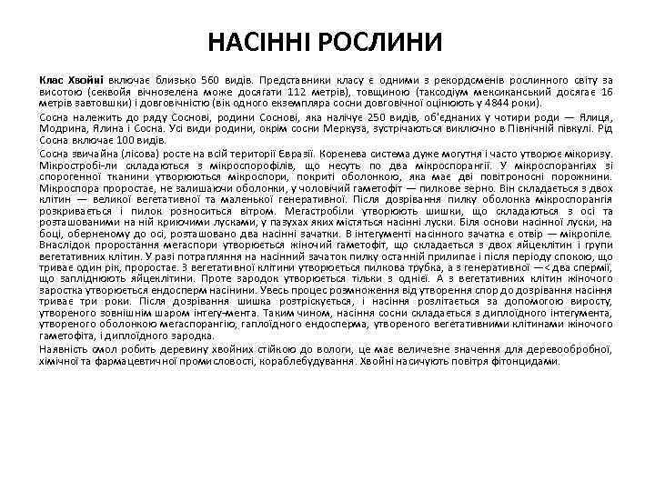 НАСІННІ РОСЛИНИ Клас Хвойні включає близько 560 видів. Представники класу є одними з рекордсменів