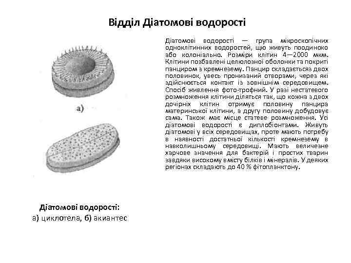 Відділ Діатомові водорості — група мікроскопічних одноклітинних водоростей, щю живуть поодиноко або колоніально. Розміри