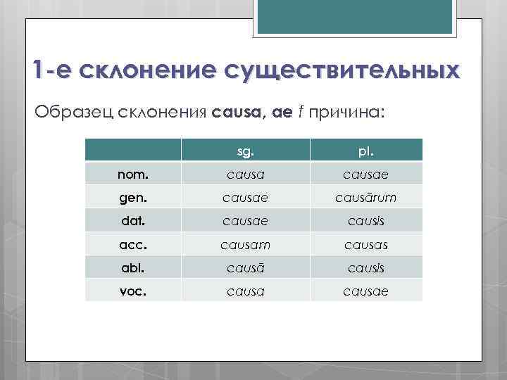 Просклонять по падежам латинские слова