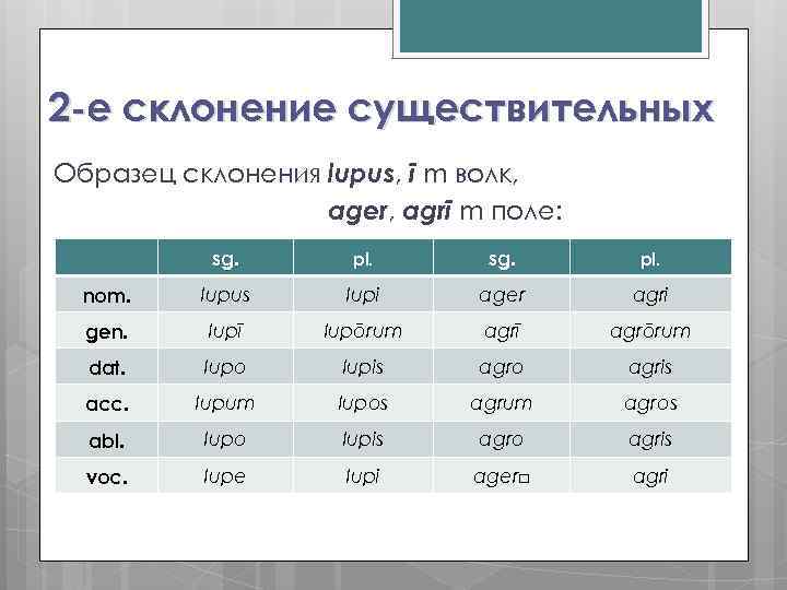 Просклонять существительное 2 склонения. Склонение существительных. Скоонения существительнвх в лат. Существительное второго склонения в латинском языке. Склонения существительных таблица.