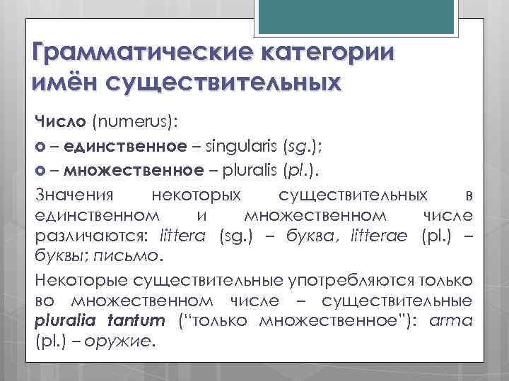 Грамматические категории имён существительных Число (numerus): – единственное – singularis (sg. ); – множественное