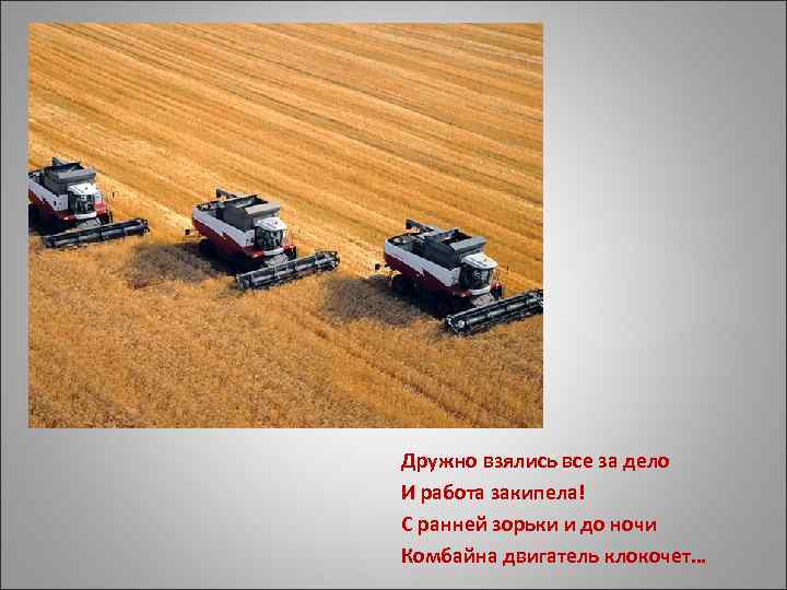 Дружно взялись все за дело И работа закипела! С ранней зорьки и до ночи