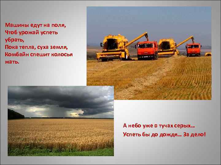 Машины едут на поля, Чтоб урожай успеть убрать, Пока тепла, суха земля, Комбайн спешит
