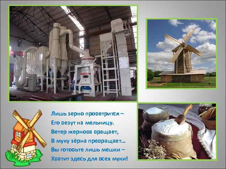 Лишь зерно проветрится – Его везут на мельницу. Ветер жернова вращает, В муку зёрна