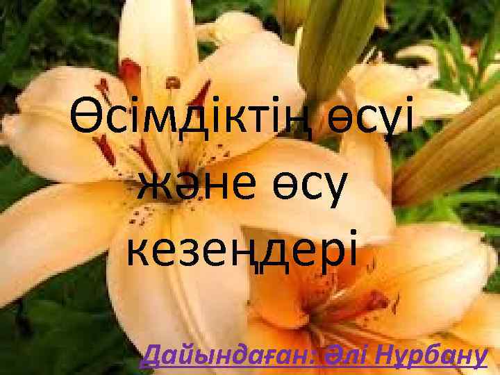 Өсімдіктің өсуі және өсу кезеңдері Дайындаған: Әлі Нұрбану 