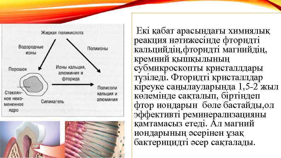  Екі қабат арасындағы химиялық реакция нәтижесінде фторидті кальцийдің, фторидті магнийдің, кремний қышқылының субмикроскопты