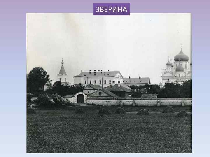 ЗВЕРИНА 