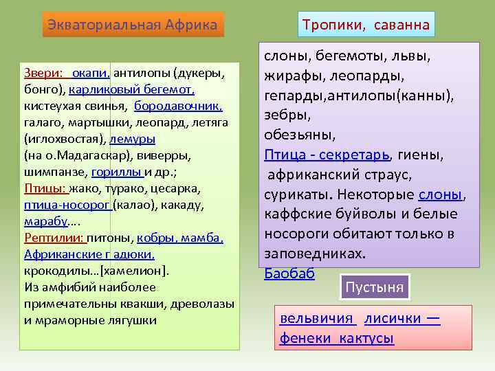 Экваториальная Африка Звери: окапи, антилопы (дукеры, бонго), карликовый бегемот, кистеухая свинья, бородавочник, галаго, мартышки,