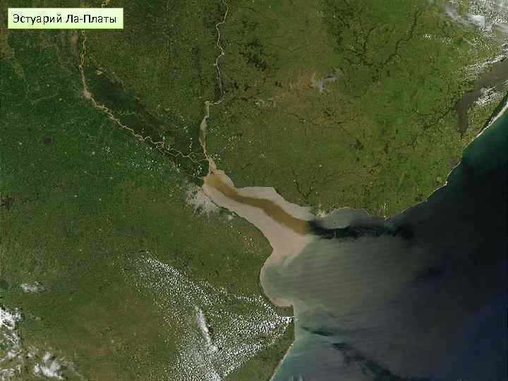 Эстуарий Ла-Платы 