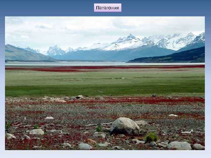 Патагония 