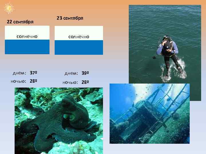 22 сентября 23 сентября солнечно днем: 37º днем: 39º ночью: 28º 