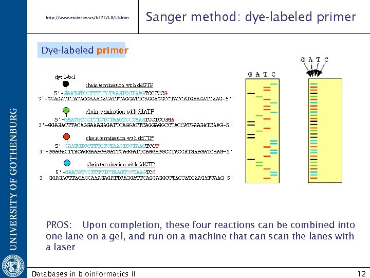 http: //www. escience. ws/b 572/L 8. htm Sanger method: dye-labeled primer Dye-labeled primer PROS: