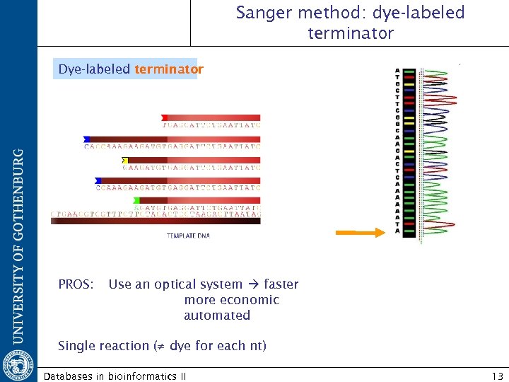 Sanger method: dye-labeled terminator Dye-labeled terminator PROS: Use an optical system faster more economic