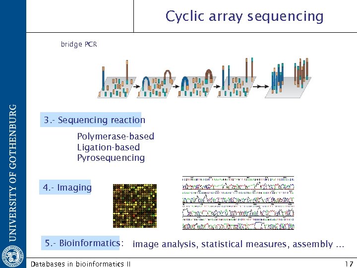 Cyclic array sequencing bridge PCR 3. - Sequencing reaction Polymerase-based Ligation-based Pyrosequencing 4. -