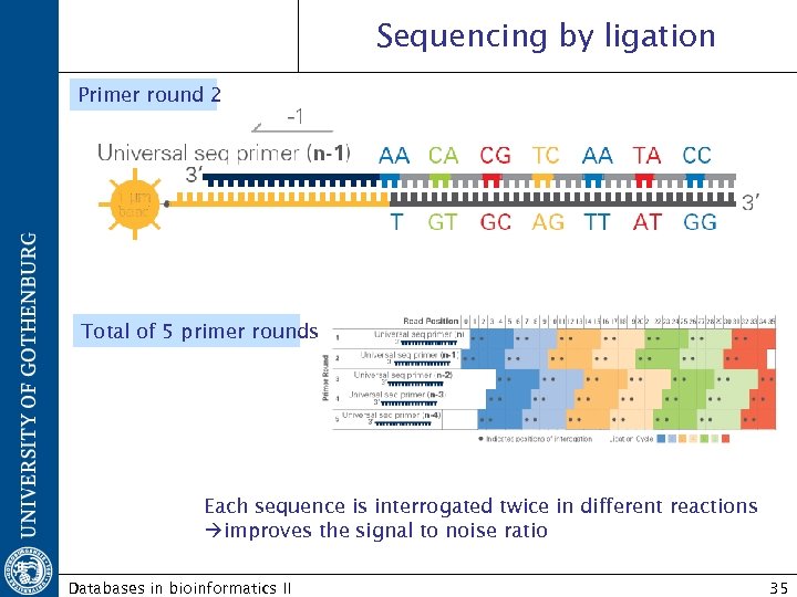 Sequencing by ligation Primer round 2 Total of 5 primer rounds Each sequence is