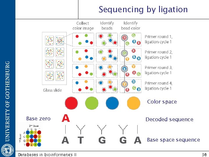 Sequencing by ligation Color space Base zero Decoded sequence Base space sequence Databases in