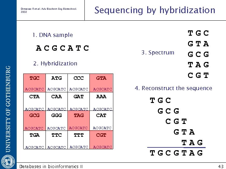 Drmanac R et al. Adv Biochem Eng Biotechnol. 2002 Sequencing by hybridization 1. DNA