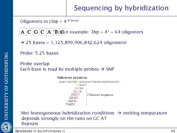 Sequencing by hybridization Oligomers in chip = 4 # bases In our example: 3