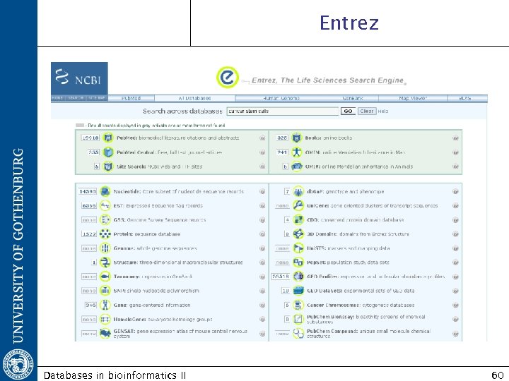 Entrez Databases in bioinformatics II 60 