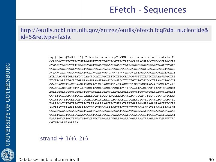 EFetch - Sequences http: //eutils. ncbi. nlm. nih. gov/entrez/eutils/efetch. fcgi? db=nucleotide& id=5&rettype=fasta strand 1(+),