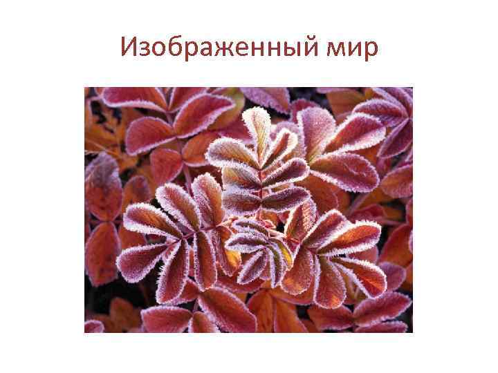 Изображенный мир 