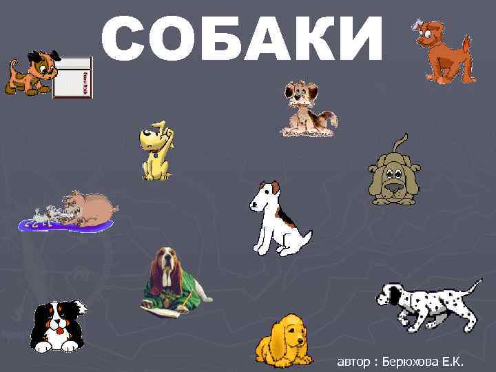 СОБАКИ автор : Берюхова Е. К. 