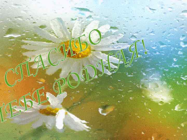 О Б ! И Я С А А ДН П О С Р Е