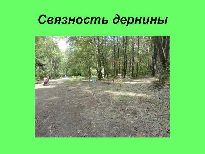 Связность дернины 