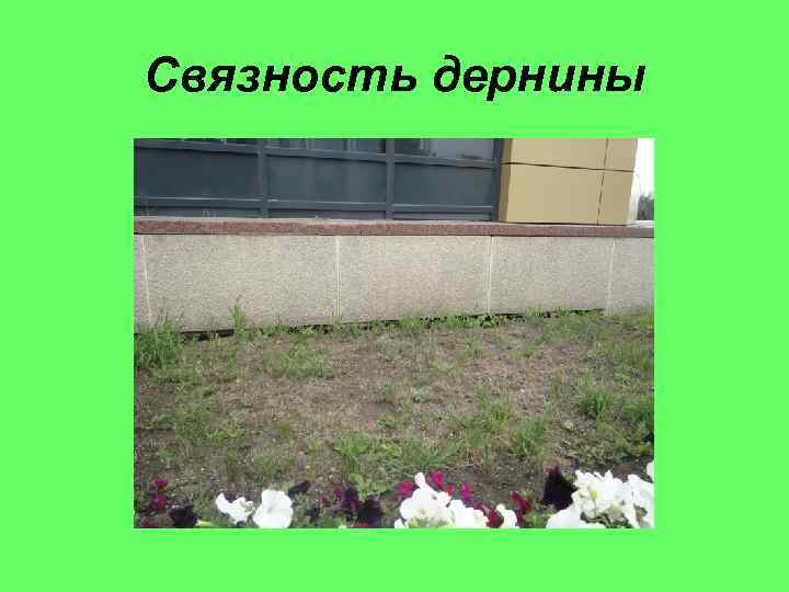 Связность дернины 