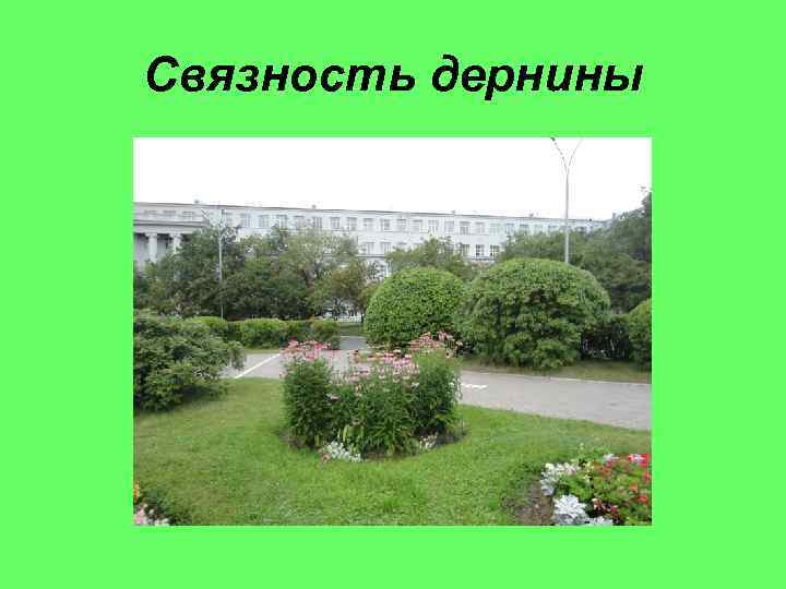 Связность дернины 