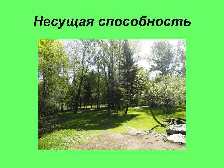 Несущая способность 