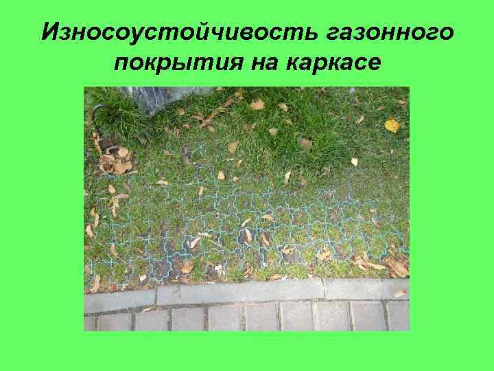 Износоустойчивость газонного покрытия на каркасе 