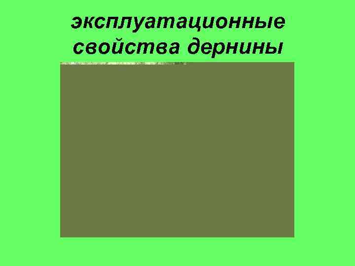 эксплуатационные свойства дернины 