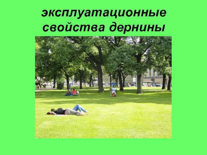 эксплуатационные свойства дернины 