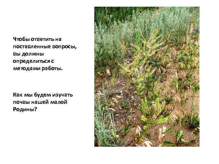 Чтобы ответить на поставленные вопросы, вы должны определиться с методами работы. Как мы будем