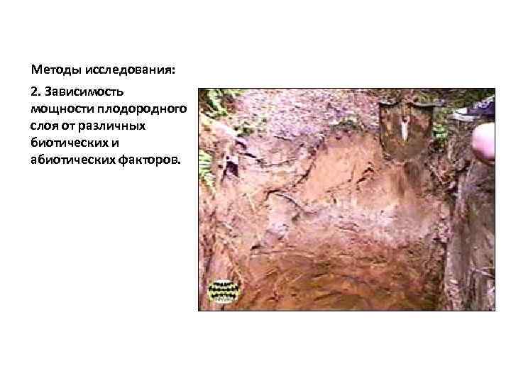 Методы исследования: 2. Зависимость мощности плодородного слоя от различных биотических и абиотических факторов. 