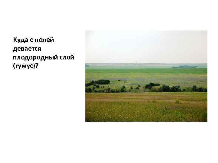 Куда с полей девается плодородный слой (гумус)? 