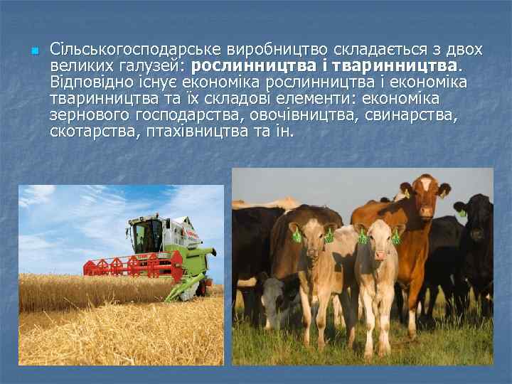 n Сільськогосподарське виробництво складається з двох великих галузей: рослинництва і тваринництва. Відповідно існує економіка