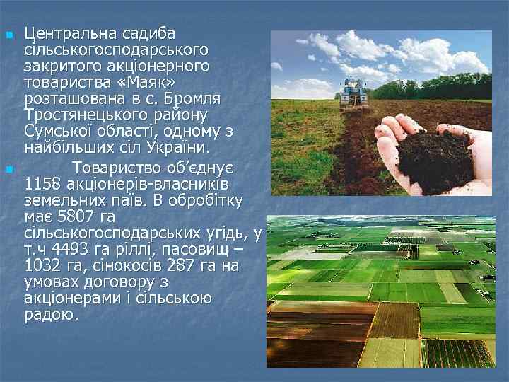 n n Центральна садиба сільськогосподарського закритого акціонерного товариства «Маяк» розташована в с. Бромля Тростянецького