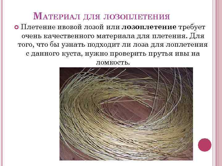 МАТЕРИАЛ ДЛЯ ЛОЗОПЛЕТЕНИЯ Плетение ивовой лозой или лозоплетение требует очень качественного материала для плетения.
