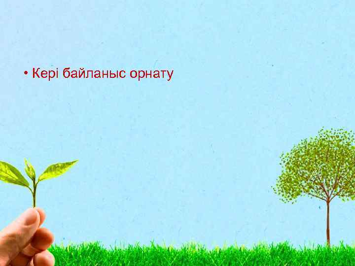  • Кері байланыс орнату 