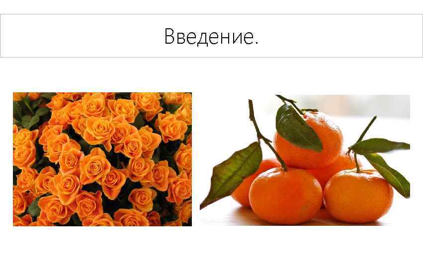 Введение. 