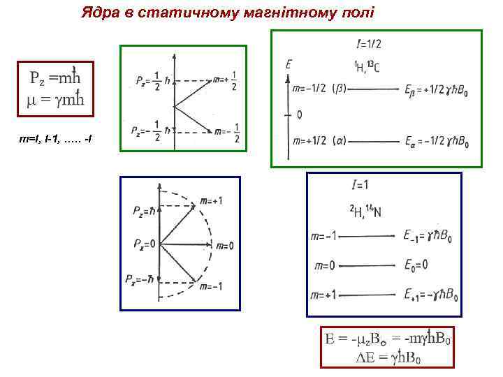 Ядра в статичному магнітному полі m=I, I-1, …. . -I 