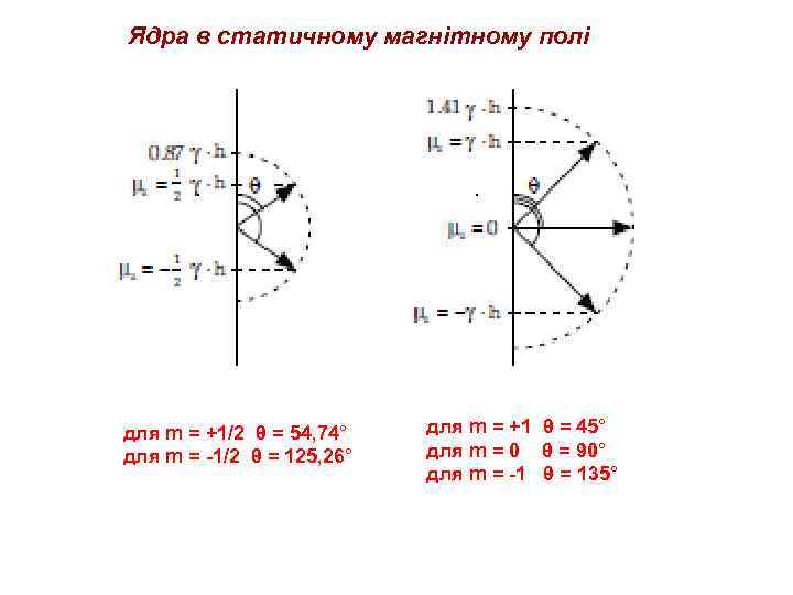 Ядра в статичному магнітному полі для m = +1/2 θ = 54, 74° для