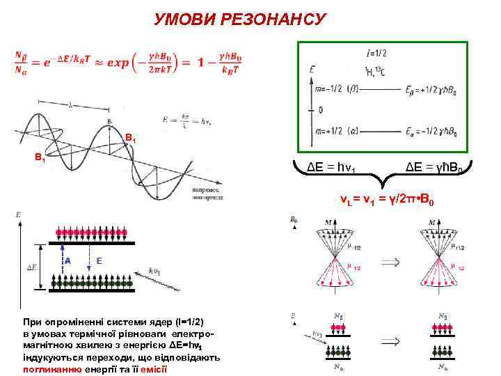 УМОВИ РЕЗОНАНСУ В 1 ΔE = hν 1 ΔE = γћВ 0 νL= ν