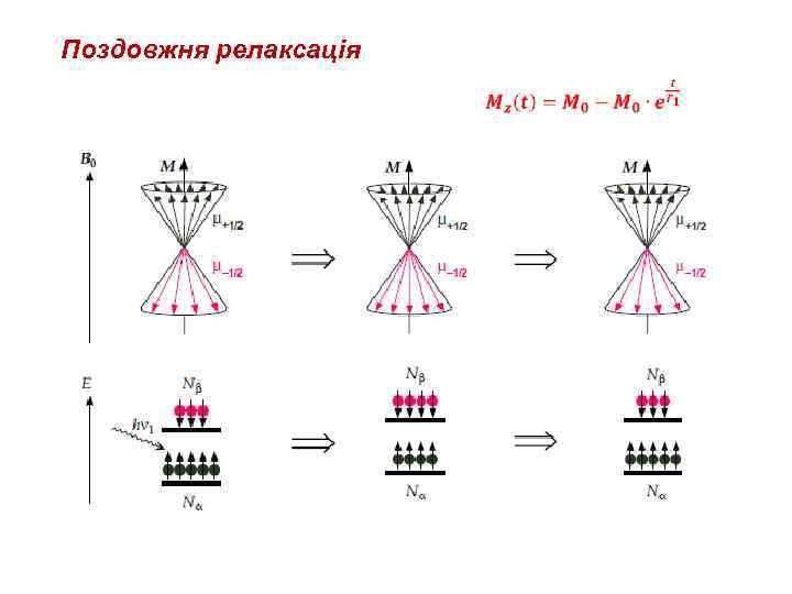 Поздовжня релаксація 