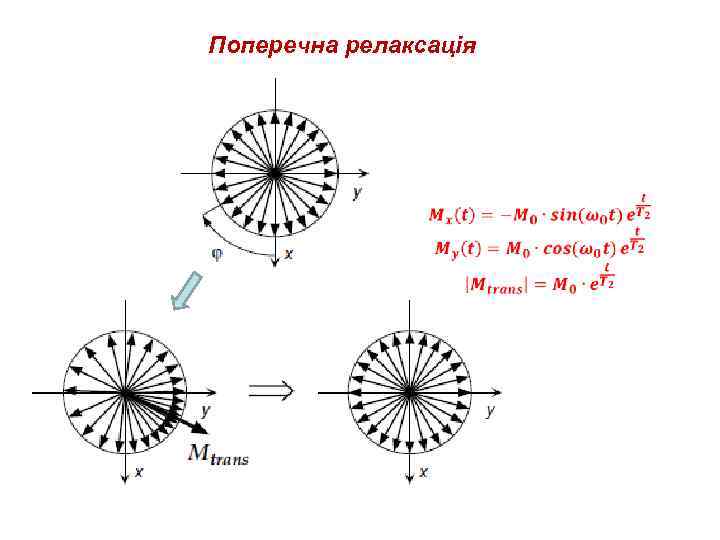 Поперечна релаксація 